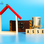 assets its type and taxation